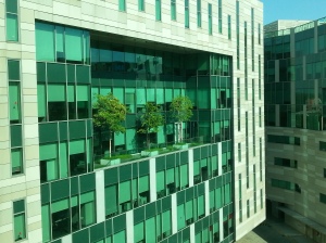 Trees on 8 th floor
