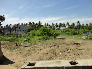 கம்பர் காடான மேடு