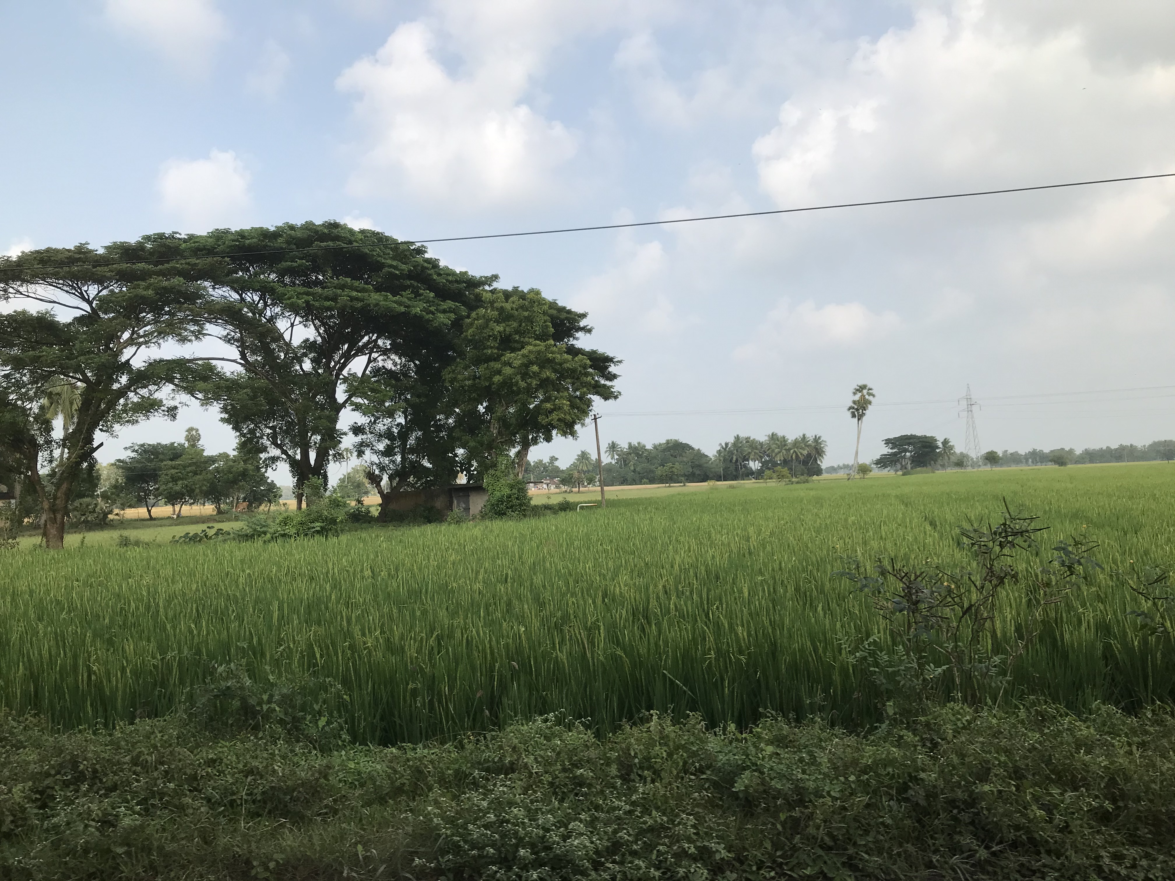 Therazhundhur Fertile Land